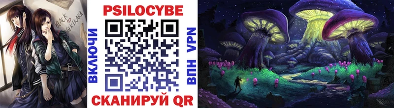 Галлюциногенные грибы Cubensis  кракен ССЫЛКА  Елизово  купить  